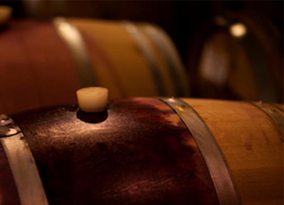 Wine barrels for maturation process