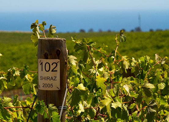 Vineyard sign at McLaren Vale