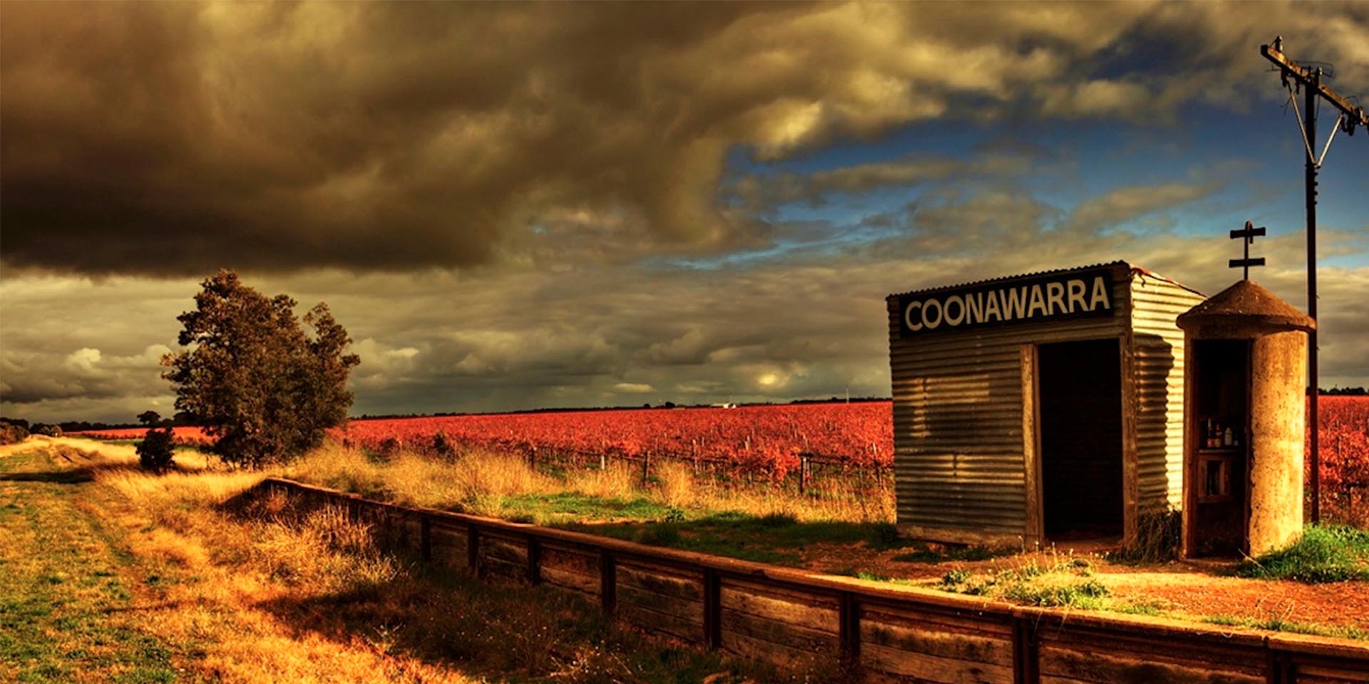 Gold Label Coonawara Cabernet Excels
